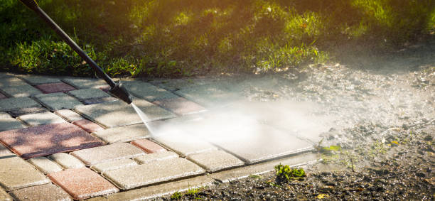 Best Solar Panel Cleaning  in Lake Hopatcong, NJ
